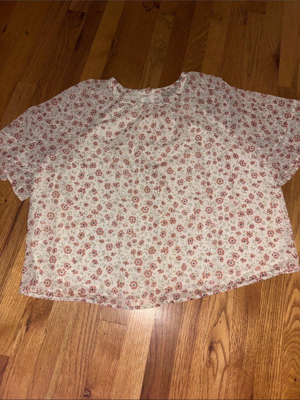 Light Pink Floral Short-Sleeve Blouse — Feminine Sheer Top